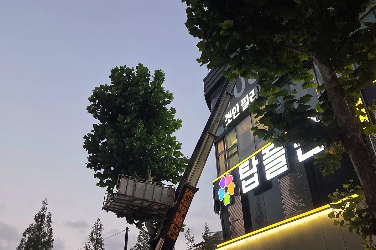 부천 소사구 아파트 혈흔제거 현장 사진 4