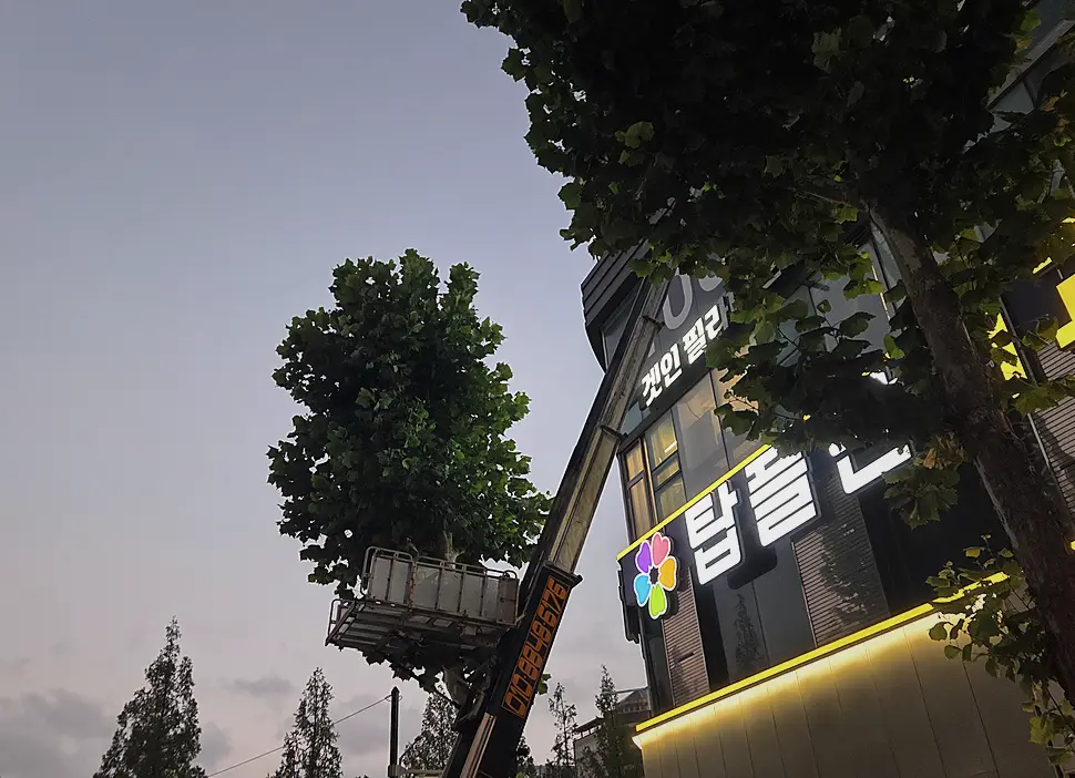 파주 오피스텔 방역소독 시공 전